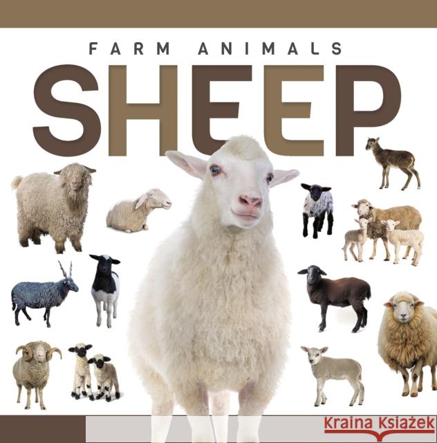 Sheep Eliza Nodes 9798894710587 North Star Kids