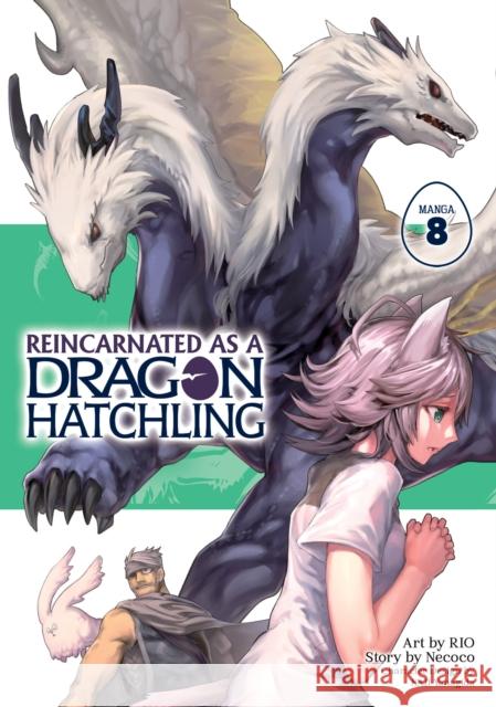 Reincarnated as a Dragon Hatchling (Manga) Vol. 8 Necoco 9798895617083