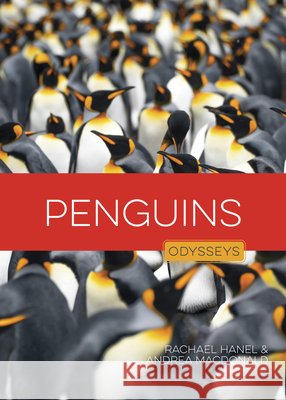 Penguins Hanel, Rachael, MacDonald, Andrea 9798895811481 Creative Education