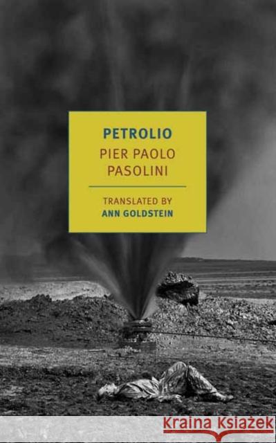 Petrolio Ann Goldstein 9798896230304