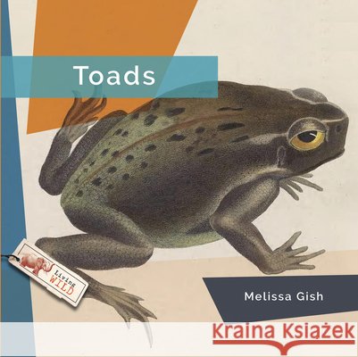 Toads Gish, Melissa 9798896801986 Creative Paperbacks