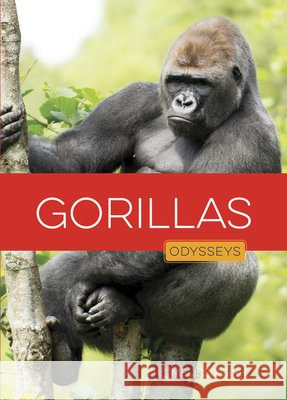 Gorillas Gish, Melissa 9798896802167 Creative Paperbacks
