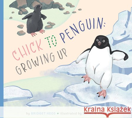 Chick to Penguin: Growing Up Heos, Bridget, Vilter, Natalie 9798896851462 Amicus Learning