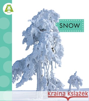 Snow Suen, Anastasia 9798896852117