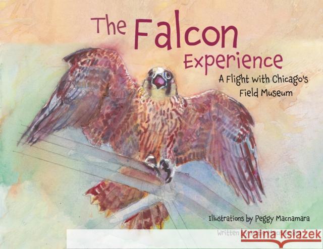 The Falcon Experience Peggy Macnamara 9798899480218