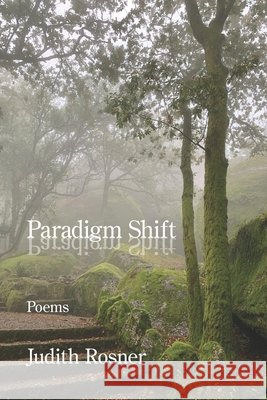 Paradigm Shift Rosner, Judith 9798901469040
