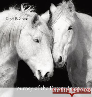 Journey of the Dream Team Sarah E Grote 9798985389135 Sarah Grote