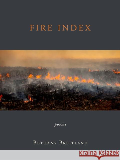 Fire Index: Poems Bethany Breitland 9798987070796 Green Writers Press