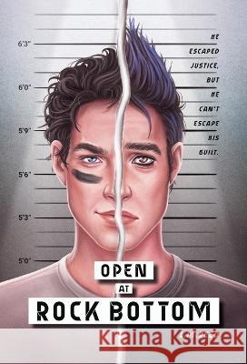 Open at Rock Bottom L M Reed   9798987155004 Malare Books