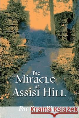 The Miracle at Assisi Hill Pat Camalliere   9798987162408 Campat Publications