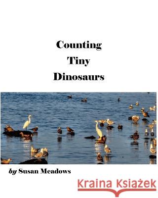 Counting Tiny Dinosaurs Michael J Matheron Susan J Meadows  9798987471708 Work with Words