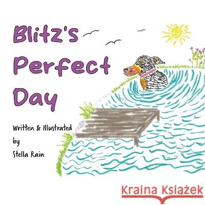 Blitz's Perfect Day Stella Rain   9798987633748