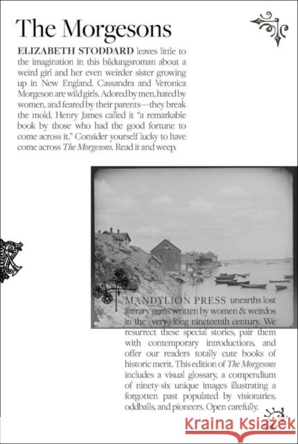 Morgesons, the Stoddard, Elizabeth 9798988606123