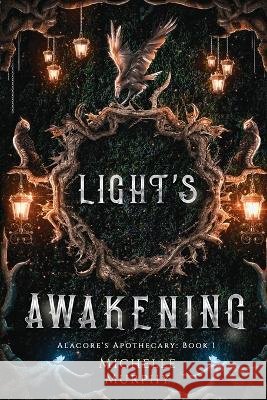 Light's Awakening Michelle Murphy D M Almond  9798988641407