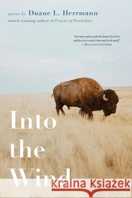 Into the Wind Duane Herrmann 9798991041591