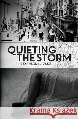 Quieting the Storm Juden, Alexander C. 9798991454810 Alexander C. Juden