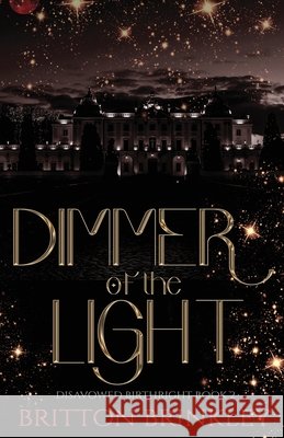 Dimmer of the Light Brinkley, Britton 9798992956528 Landingham Stanley Press