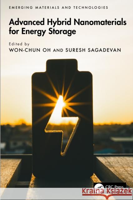 Advanced Hybrid Nanomaterials for Energy Storage