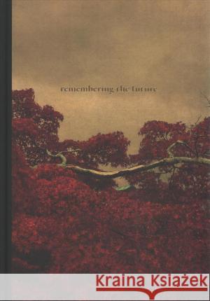 Albarrn Cabrera: Remembering the Future - stan bdb 9788417047511