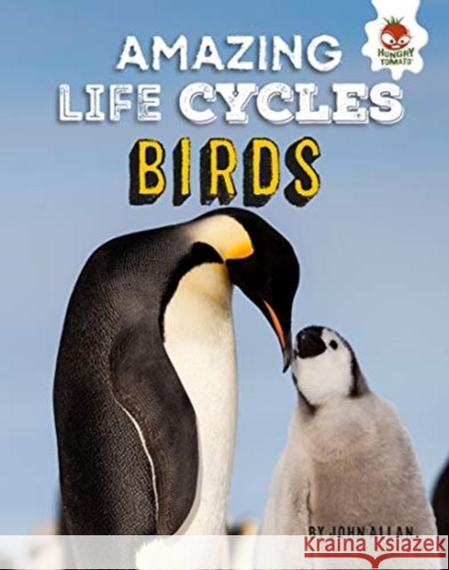 Amazing Life Cycles-Birds