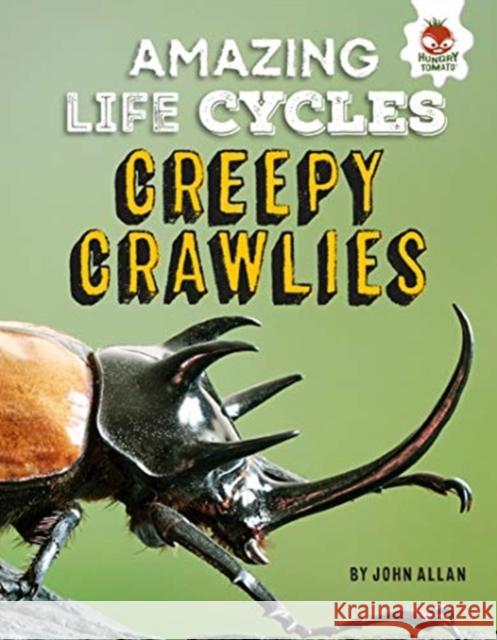 Amazing Life Cycles-Minibeasts