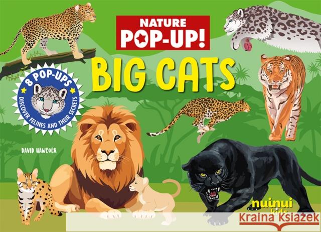 Big Cats