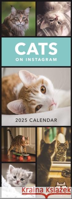 Cats on Instagram Slim Calendar 2025