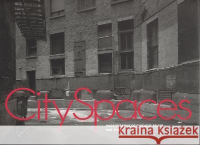 City Spaces: Photographs of Chicago Alleys - stan bdb 9781930066076
