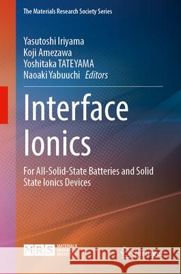 Interface Ionics