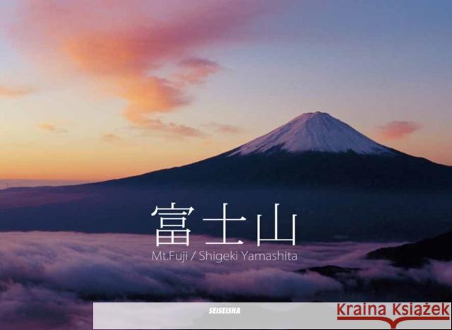 MT.Fuji (Panorama) - stan bdb 9784883501762