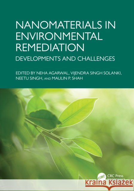 Nanomaterials in Environmental Remediation: Developments and Challenges