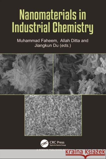 Nanomaterials in Industrial Chemistry