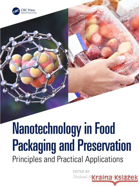 Nanotechnology in Food Packaging and Preservation: Principles and Practical Applications