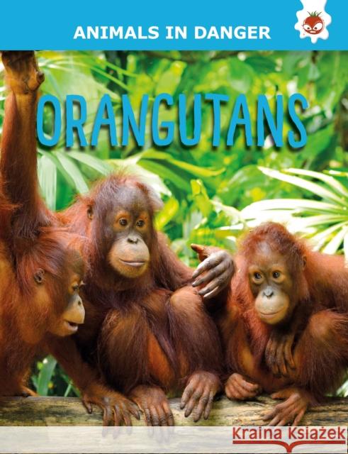Orangutans: Animals In Danger