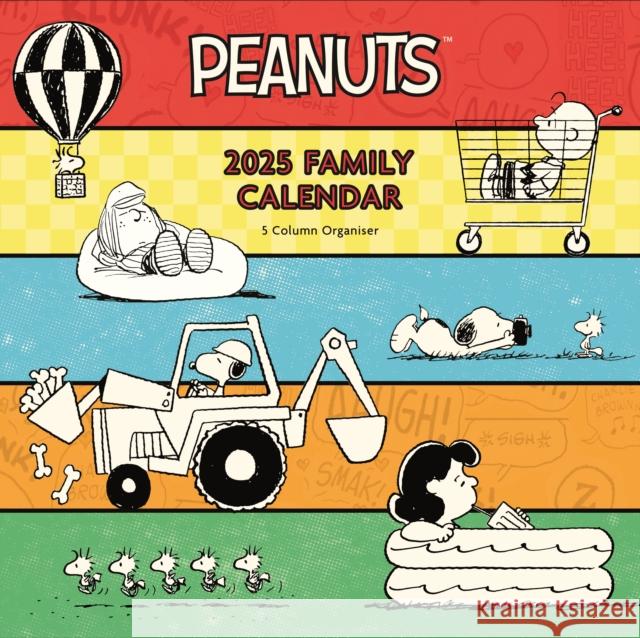 Peanuts Planner Wall Calendar 2025