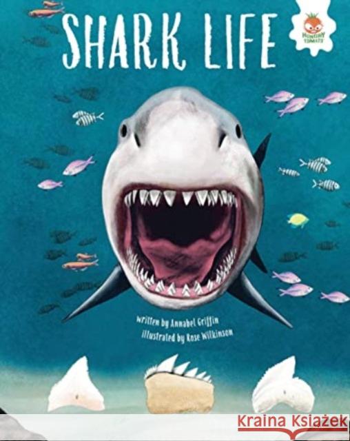 SHARK LIFE: Shark Safari      STEM