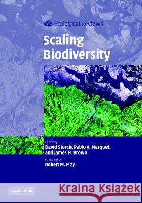 Scaling Biodiversity