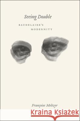 Seeing Double: Baudelaire's Modernity - stan bdb 9780226519883