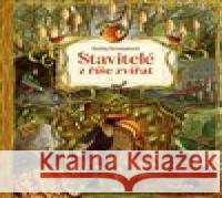 Stavitelé z říše zvířat