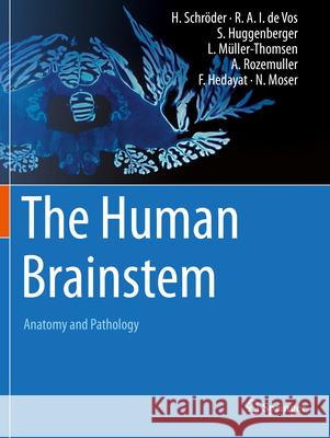 The Human Brainstem