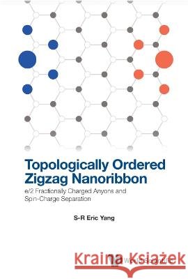 Topologically Ordered Zigzag Nanoribbon: E/2 Fractionally Charged Anyons and Spin-Charge Separation