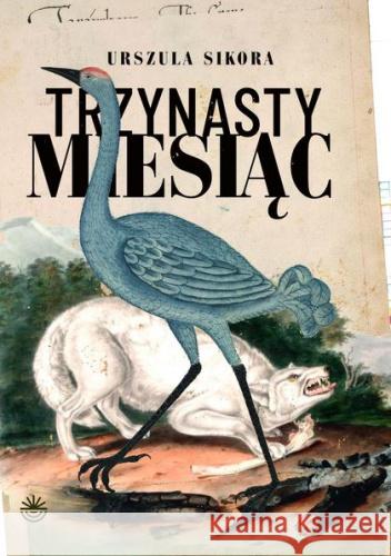 Trzynasty miesiąc