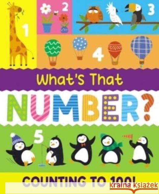 What's That Number? Counting To 100!