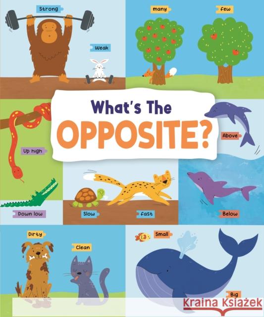What's the Opposite?: Big and Small, High and Low and Many More...