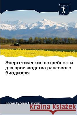 Энергетические потребн&# Хусейl 9786200923936 Sciencia Scripts - książka