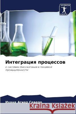 Интеграция процессов Агиар 9786205332009 Sciencia Scripts - książka