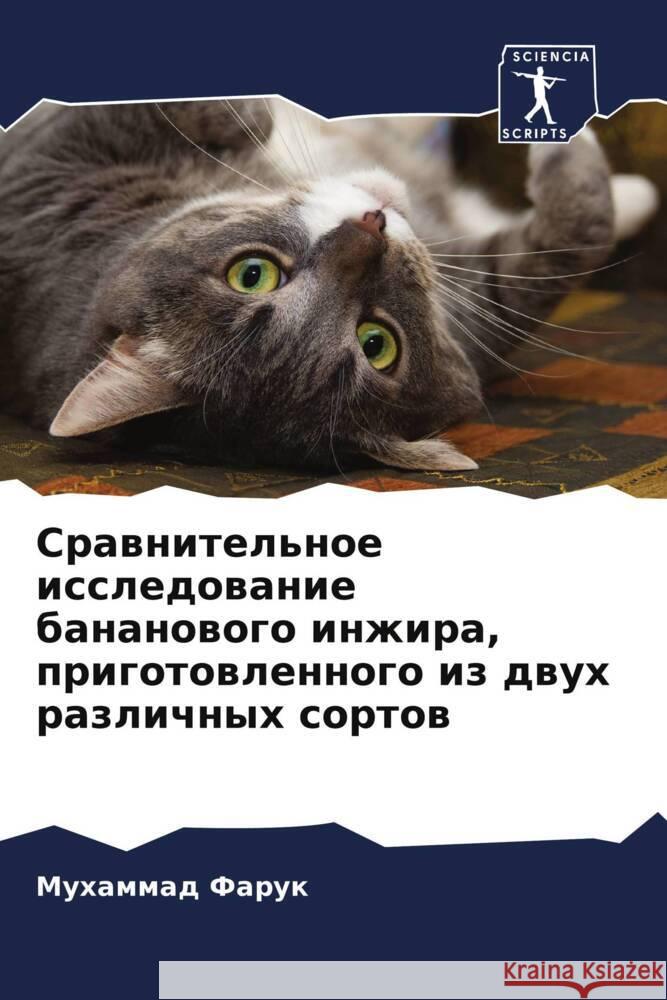 Сравнительное исследов&#  Фарук 9786205671955 Sciencia Scripts - książka