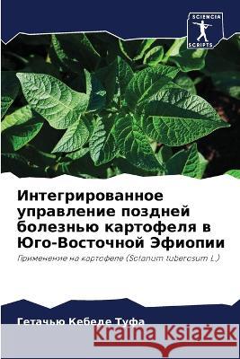 Интегрированное управл&# Г Туфа 9786205685235 Sciencia Scripts - książka