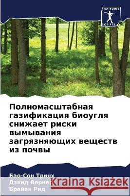 Полномасштабная газифи&#  Тринх Вернеl Бр Рид 9786205725795 Sciencia Scripts - książka