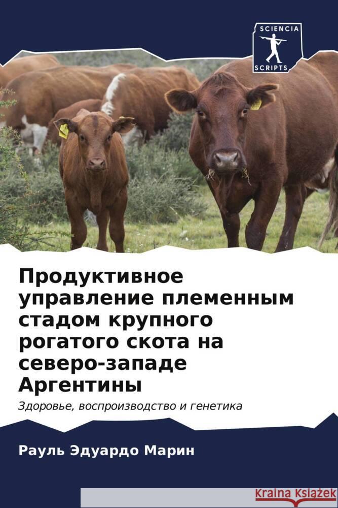 Продуктивное управлени&#  Марин 9786206572008 Sciencia Scripts - książka